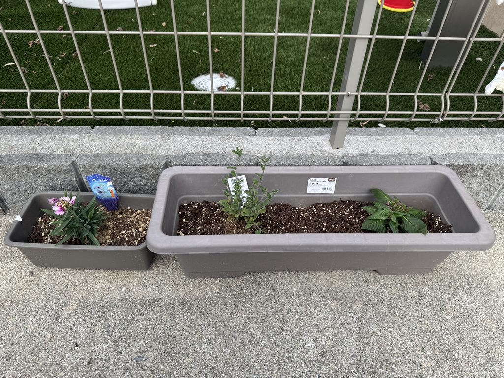 住んでから買い足したプランター2つ。花や植物を育てている